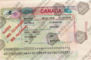 簽證服務批發與供應 商務簽證的快捷解決方案